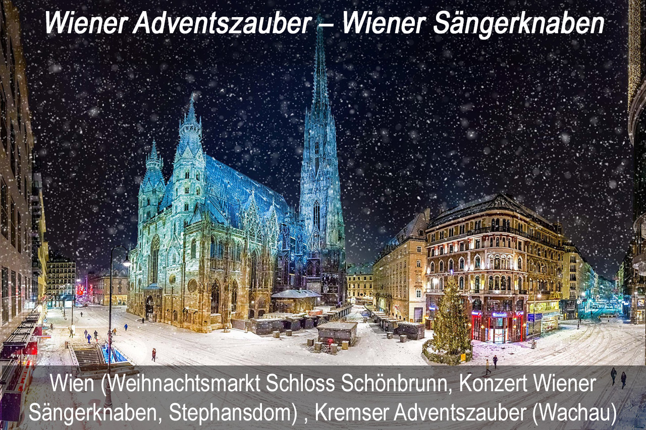 Busreise Wien